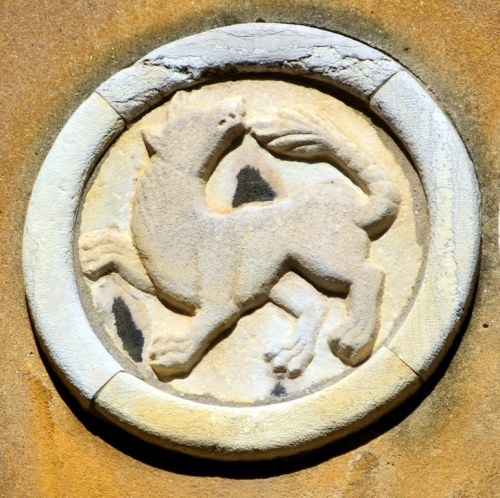 DSC 0092m