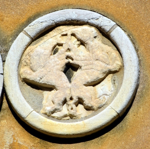 DSC 0093m