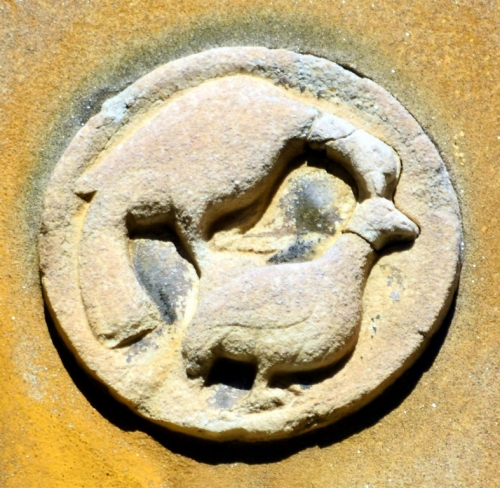 DSC 0096m