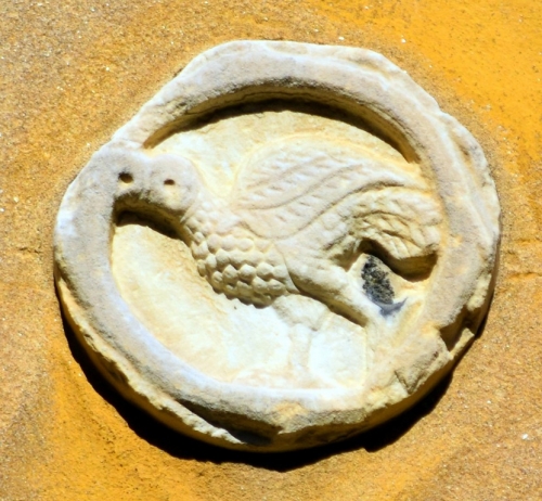 DSC 0098m