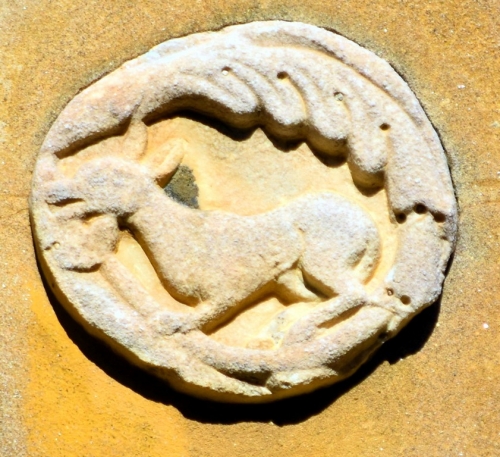 DSC 0099m