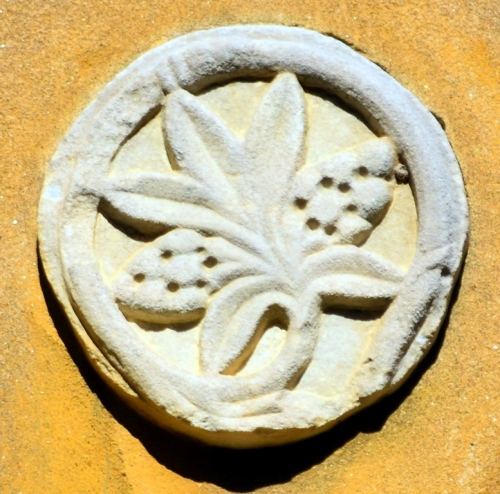 DSC 0100m