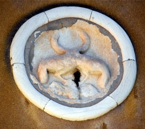 DSC 0102m