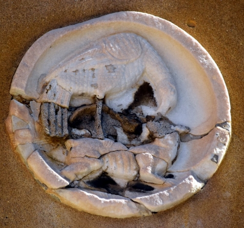 DSC 0103m