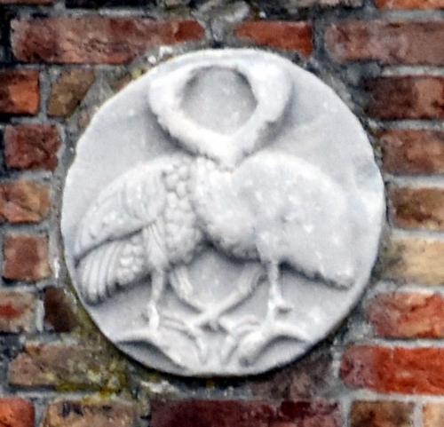 DSC 0162m