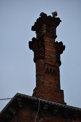 DSC 0376