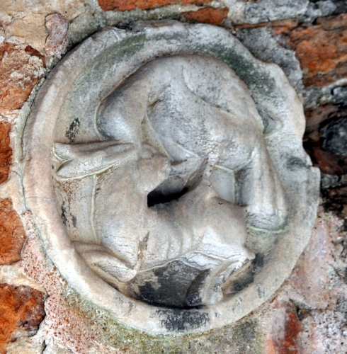 DSC 0658m2