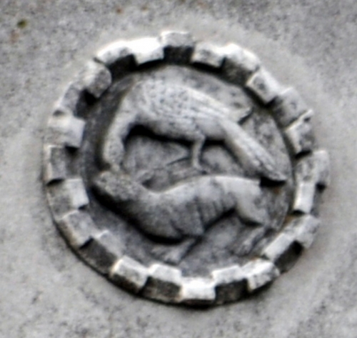 D2 DSC 0211m2