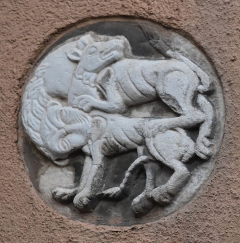DSC 0832m