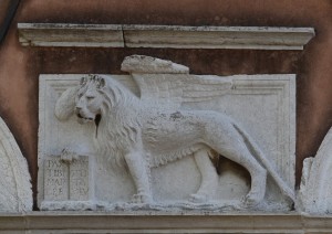 DSC 0011m