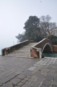 DSC 0557