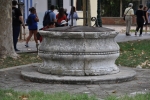 DSC 0172