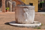 DSC 0906