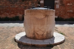 DSC 0907