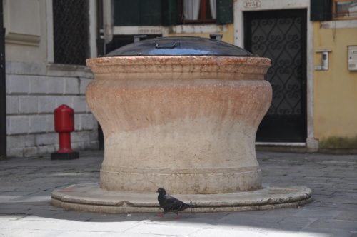 DSC 0902