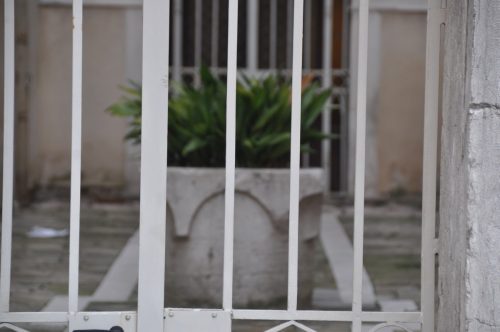 DSC 0355