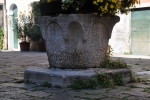 DSC 0790