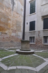 DSC 20238