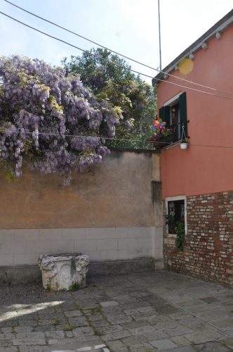 DSC 0678