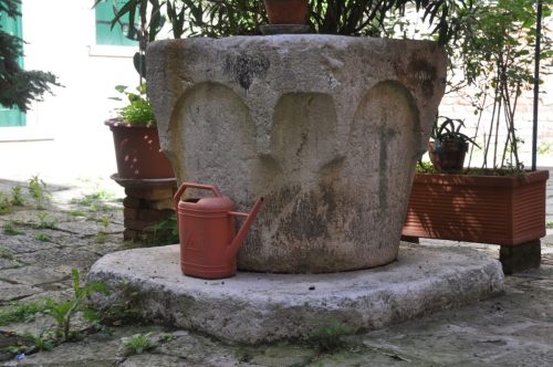 DSC 0561