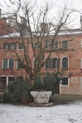 DSC 0178