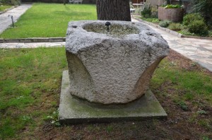 DSC 4271