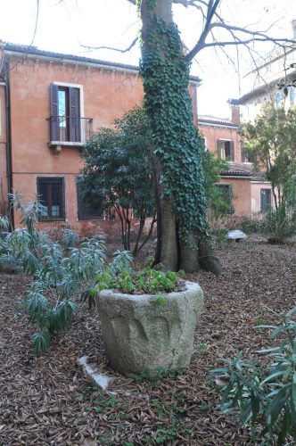 DSC 0520