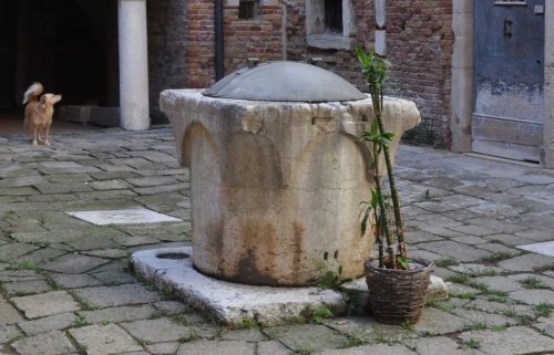 DSC 0070