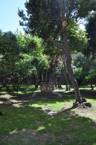 DSC 0601