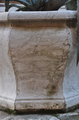 DSC 0343