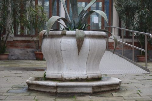 DSC 2590