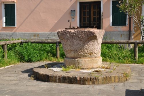 DSC 0810