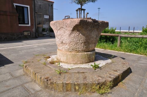 DSC 0811