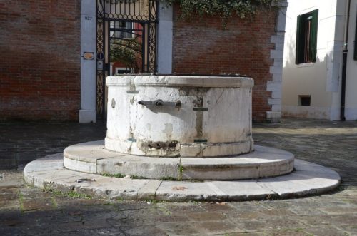 DSC 3010
