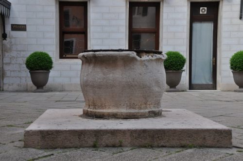 DSC 0876