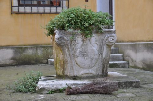 DSC 0920