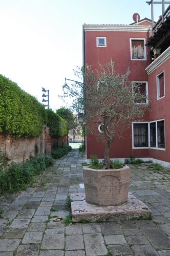 DSC 0101