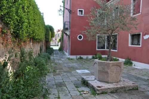 DSC 0102