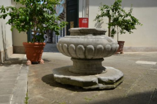 DSC 3484