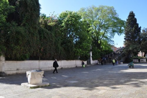 DSC 0092
