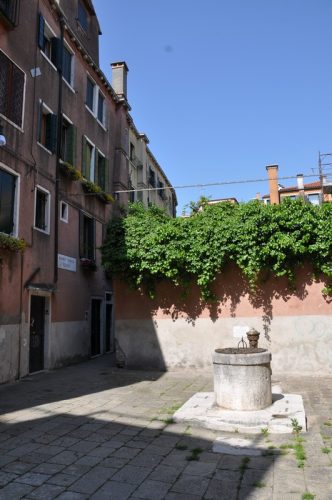 DSC 0984