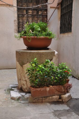 DSC 0149