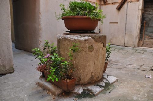 DSC 0151