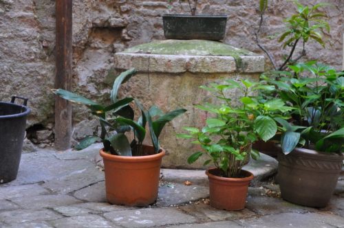 DSC 0573