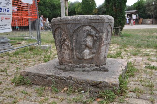 DSC 0232