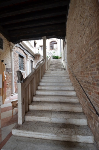 DSC 7800