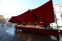 DSC 8854