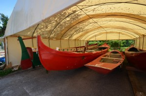 DSC 8641