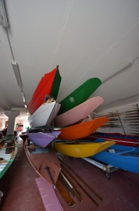 DSC 8970
