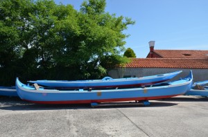 DSC 8982